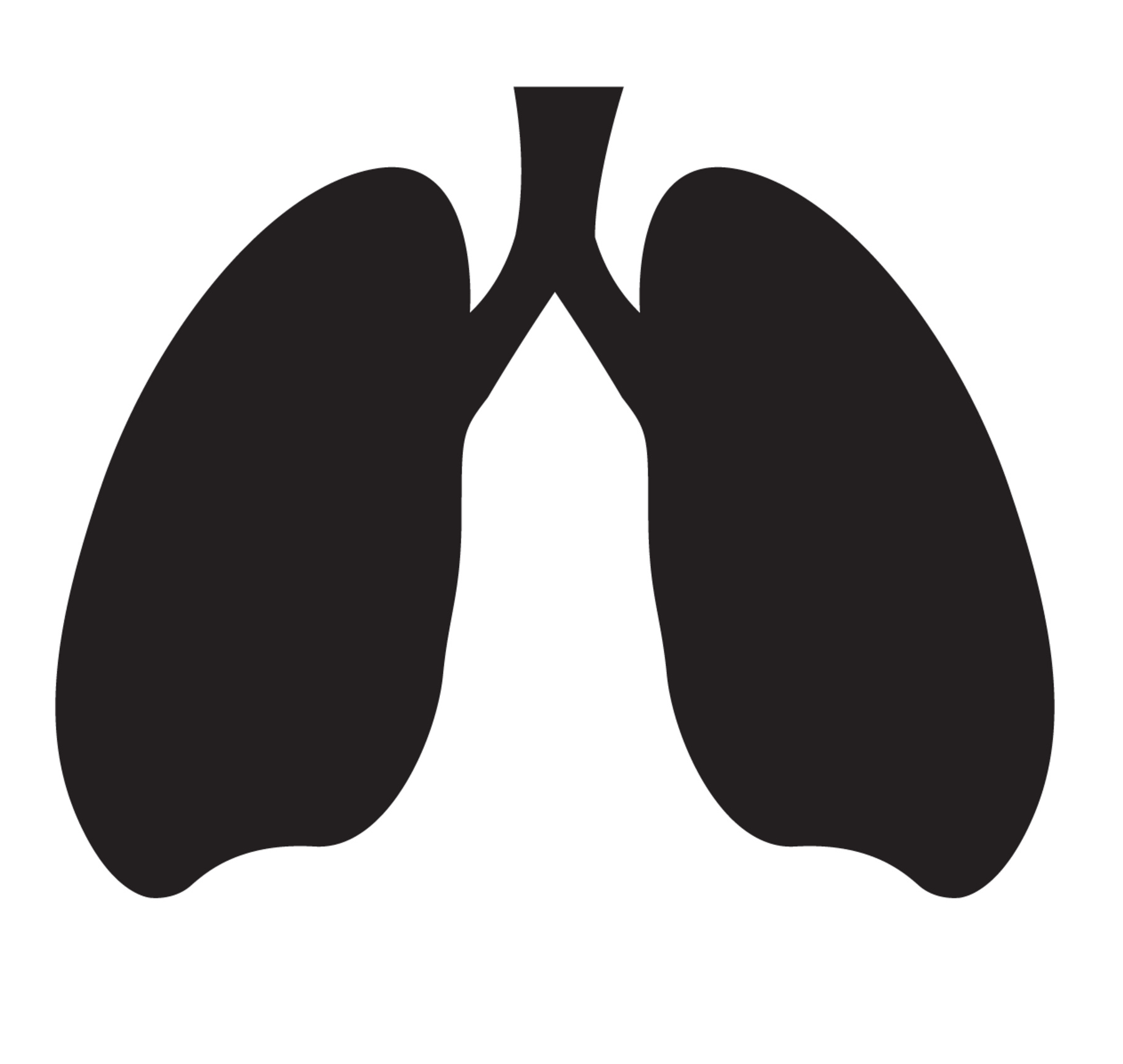 小細胞肺がん Icon